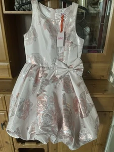 Girls Ted Baker Special Occasion Dress Aged 14 Years New With Tags - Picture 1 of 11