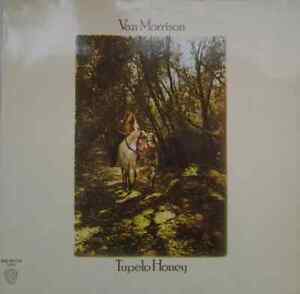 Van Morrison Tupelo Honey NEAR MINT Warner Vinyl LP