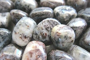 One Astrophyllite Rare Tumbled Stone 15-20mm Russia Healing Crystal High Energy - Picture 1 of 7