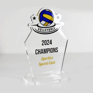 ACRYLIC COLOUR TROPHY AWARD CUSTOM DESIGNED FOR VOLLEYBALL GAME TEAM PLAYER - Picture 1 of 3
