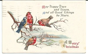 Vögel auf Ästen Weihnachtsgruß verschickt 1918 alte Postkarte - Bild 1 von 5