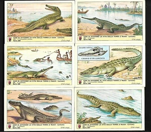 Figurine Lavazza n° 260.Così si affermò la vita sulla Terra.I rettili. - Imagen 1 de 1