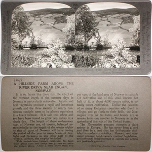 Keystone Stereoview of Hillside near Engan, Norway from Rare 1200 Card Set #260 - Picture 1 of 3