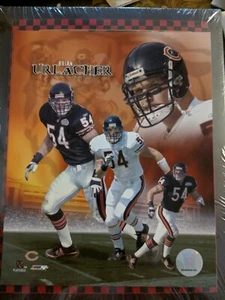 Brian Urlacher Licensed 8X10 Photo CHICAGO BEARS - Picture 1 of 1