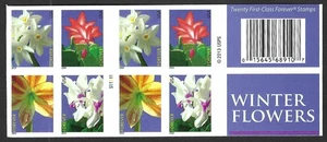 US 4865dvar WINTER FLOWERS IMPERFORATE BOOKLET OF 20 FROM PRESS SHEET MNH VF-XF - Picture 1 of 2