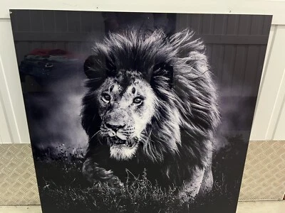 YELLOW KORNER “Hunting Lion Tanzania 2015” By Laurent Baheux Limited Edition - image 1 of 3