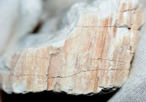 Einzigartig wunderschönes versteinertes Holz... (#7) 4,3 oz - Bild 1 von 7