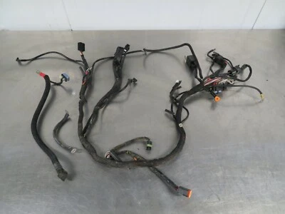 EB762 2009 09 ARNÉS DE CABLEADO PRINCIPAL BUELL BLAST Foto 1 de 4