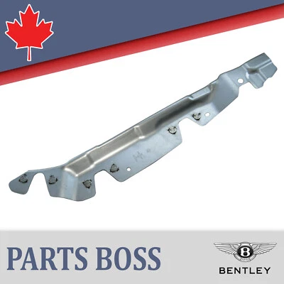 Bentley Continental 2011-2018 OEM NUEVO guardabarros placa desgarrada delantera izquierda (lado del conductor) Foto 1 de 4