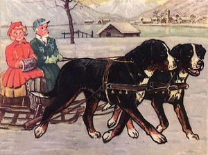 BERNER BERGHUNDE ZIEHENSCHLITTEN HUNDESGRUSSKARTE NOTIZKARTE - Bild 1 von 1