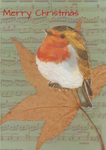 Hübsches Rotkehlchen Weihnachtskarte 6" x 4" - Bild 1 von 2