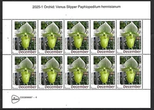 Países Bajos 2025-1 Orquídea Paphiodelinum hennisianum HOJA mnh ca - Imagen 1 de 1