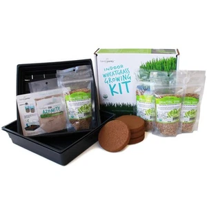 Organic Wheatgrass Growing Starter Kit - Grow & Juice Wheat Grass - Includes ... - Picture 1 of 9