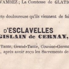 Adrienne De Gislain De Cernay Cavelier D'Esclavelles 1881