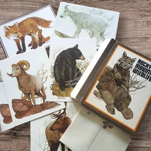 VTG 1980 Lot Of 6 Blank Animal Greeting Cards Rocky Mt Wildlife LK Powel Current - Picture 1 of 15