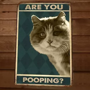 Are You Pooping Cat 8x12 Metal Wall Sign Animal Bathroom Poster #1 - Picture 1 of 1