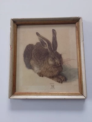 Albrecht Dürer Junger Feldhasse hochwertiger Kunstdruck alt - Bild 1 von 4