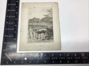 P-1 7 ART PAPER ETCHING PRINT PHOTOGRAVURE STAG WATER STAG TREES FREDRICK DEIKER - Picture 1 of 20