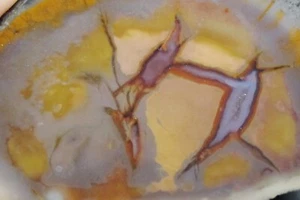 Pulido - Cuadro de Utah Jaspe * Arte Jurásico * Jaspe * 4,4 oz. - Imagen 1 de 4