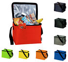 Insulated KOOZIE™ 6-pack COOLER LUNCH BAG Thermal 5.8 Litres - COOLBAG LUNCHBAG