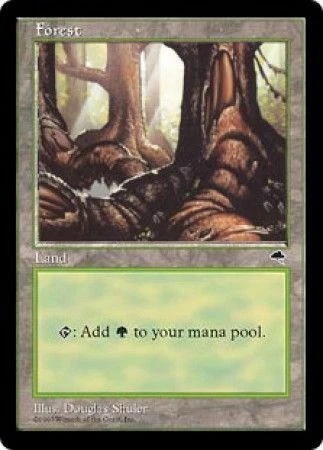 Forest (Pond) Tempest Moderate Play MTG Magic DNA GAMES - Image 1 of 1