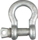 5 Pack - 3/4 GALV Anchor Shackle -N100-329