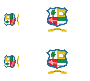 CHILI Lot 4 Vinyl Stiker autocollant Drapeau flag Maule Chile - Picture 1 of 1