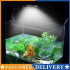 Aquarium Light for Fish Tank Aquatic Plants Grow Lighting Clip-On Lamp AU