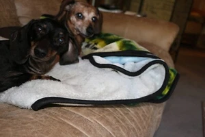 5g, CUENTAS MISTERIOSAS, LAVA Rojo, Checo, 2 agujeros, cuentas prensadas, (std6) - Imagen 1 de 1