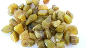 Twelve Olive Green Opal Tumbled Stone Small 10-20mm Healing Crystal Relaxation - Picture 1 of 2