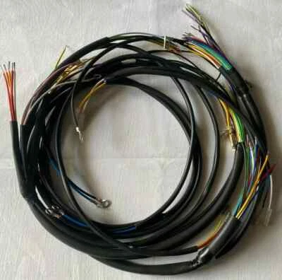 IMPIANTO ELETTRICO MV AGUSTA AMERICA 750 S - CAB 221 Foto 1 de 2