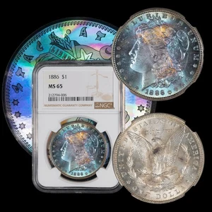 1886 Morgan Silver Dollor NGC MS 65 🫐 GEM Electric Blueberry Toned 🫐 - Picture 1 of 5