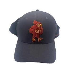 Nike Iowa State Cyclones Classic99 Dri-Fit Mütze Fitted Cap Cardinal Logo - Bild 1 von 11
