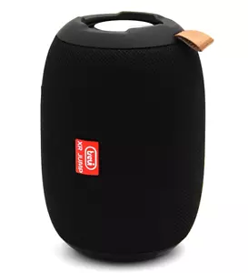 Cassa bluetooth portatile con microfono tws aux chiamate cinghia speaker TREVI - Imagen 1 de 9