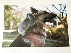 Vintage Argus Koala Dog German Shepherd Uplifting Funny Poster -21” X 14” -#2438 - Picture 1 of 11
