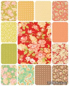 PORTOFINO Fig Tree Joanna Figueroa Moda Fabrics colorful floral 13 fat quarters - Picture 1 of 14