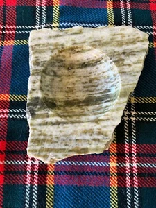 A Stunning & Rare, Scots 'Glen Tilt' Marble, Trinket dish 5" x 4" beautiful. - Picture 1 of 6