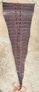 Genuine American Alligator Tail Brown Hornback Gator Hide 5676-E3 - Picture 1 of 8