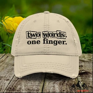 Dos palabras un dedo sarcástico dedo medio bola gorra papá sombrero para hombre mujer - Imagen 1 de 34