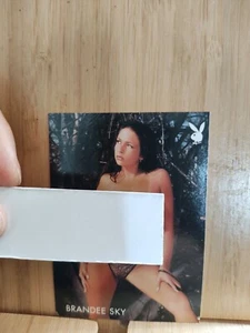 PLAYBOY'S NATURAL BEAUTIES🏆2006 #10 BRANDEE SKY Card🏆 - Bild 1 von 2