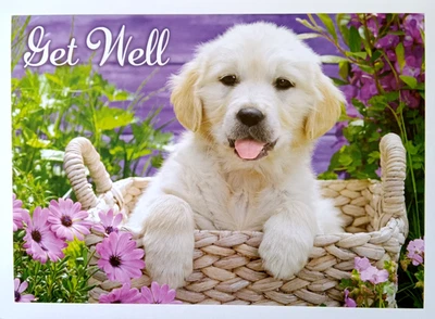Greeting Card Get Well Recovery Labrador Dog Puppy Basket Flowers - Image 1 of 2