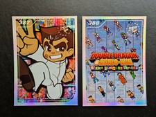- Double Dragon & Kuni-Kun Limited Run Trading Cards #387 + #388