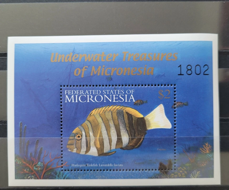 Micronesia 2001 / Marine Life - Coral Reef Fish - 	Lienardella fasciata / 1v  - Image 1 of 1