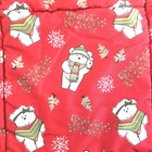 Couverture de Noël Fieldgear Dayton Hudson 2005 SantaBear taille rouge rare