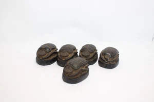 Rare Ancient Egyptian Scarab Beetle Stone Beads Set of 5 Antique Amulets - Picture 1 of 6
