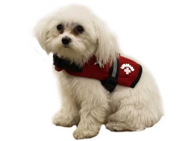 Paws Aboard R1100 (XXS XX-Small) - Red Lifeguard Neoprene Dog Life Jacket - Image 1 of 4