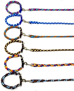 Hundeleine + Hundehalsband Set Biotau Führleine 1-3m tolle Farben mittlere Hunde - Bild 1 von 25