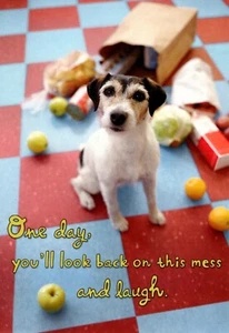 Funny Encouragement Dog Theme You'll Look Back & Laugh Hallmark Greeting Card  - Picture 1 of 3