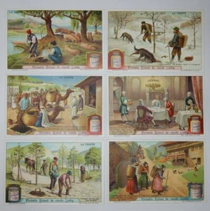 Liebig Trade Cards - "Truffles" - Full Set of 6 - Belgium/France - S1031 - GC - Picture 1 of 2