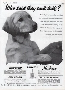 LABRADOR RETRIEVER 1954 HUNDESASSE ZWINGER WERBESEITE FÜR LOWE'S HUNDEFUTTER - Bild 1 von 1
